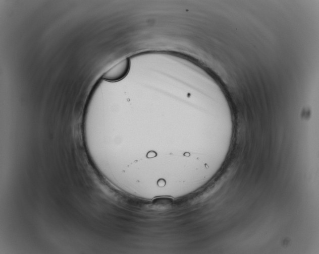 X0000101661513200808071009