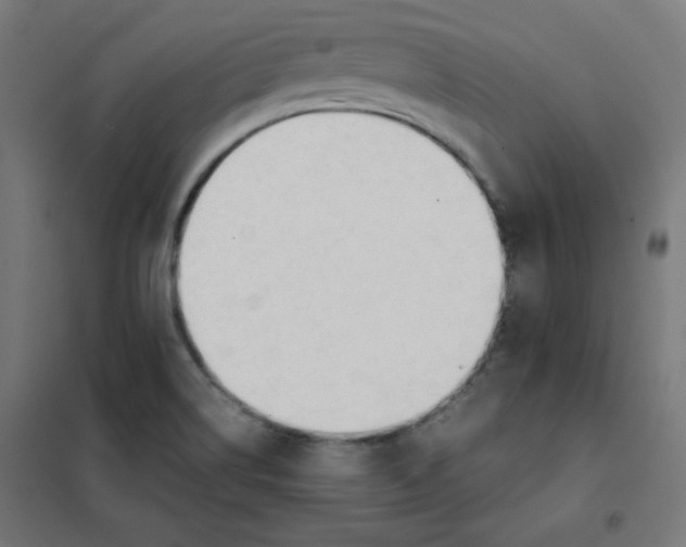 X0000101661514200808071009