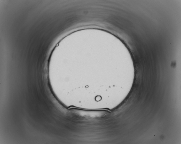 X0000101661516200808071009