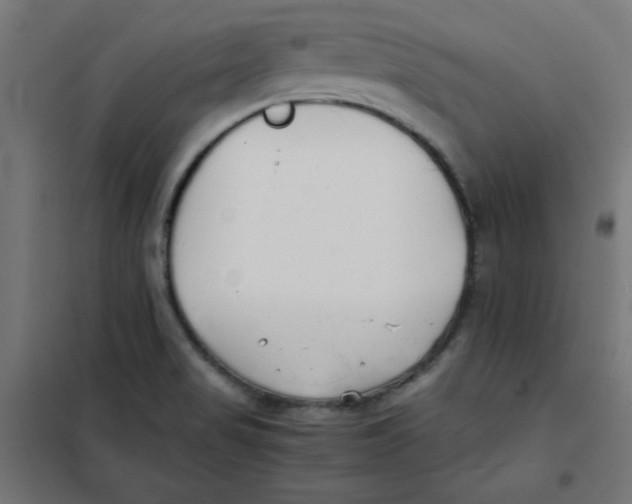 X0000101661517200808071009