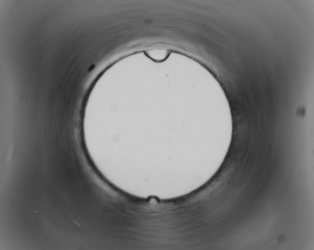 X0000101661518200808071009