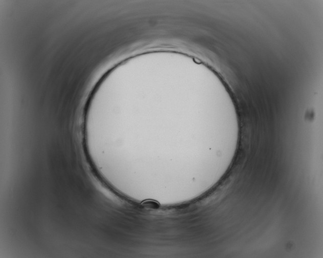 X0000101661519200808071009