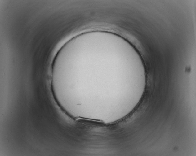 X0000101661520200808071009