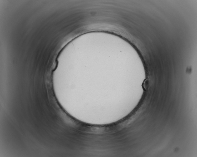 X0000101661521200808071009