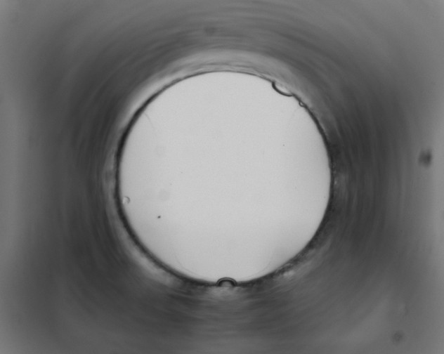 X0000101661523200808071009