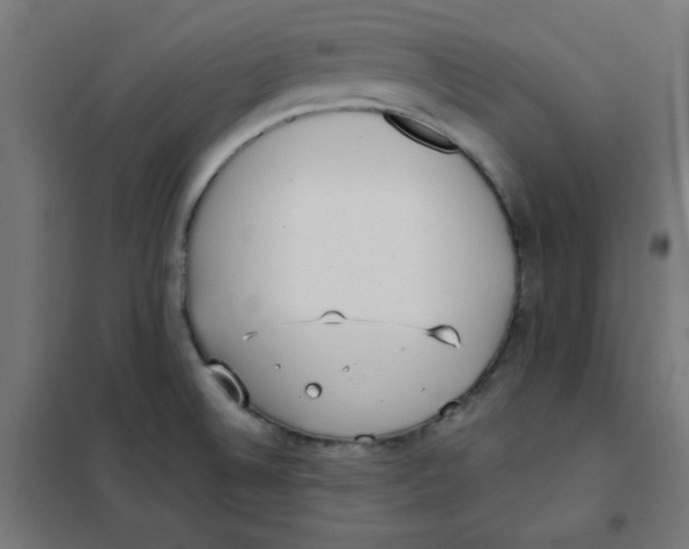 X0000101661524200808071009