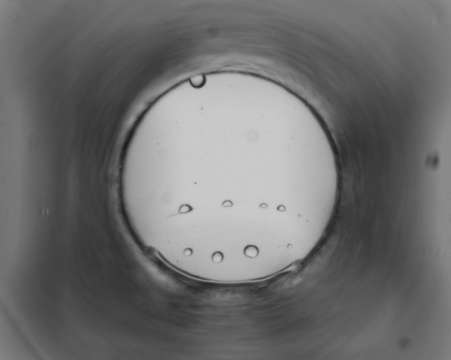 X0000101661525200808071009