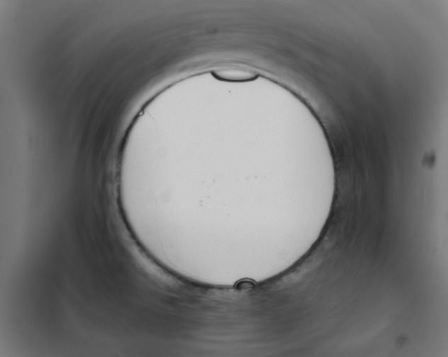 X0000101661526200808071009