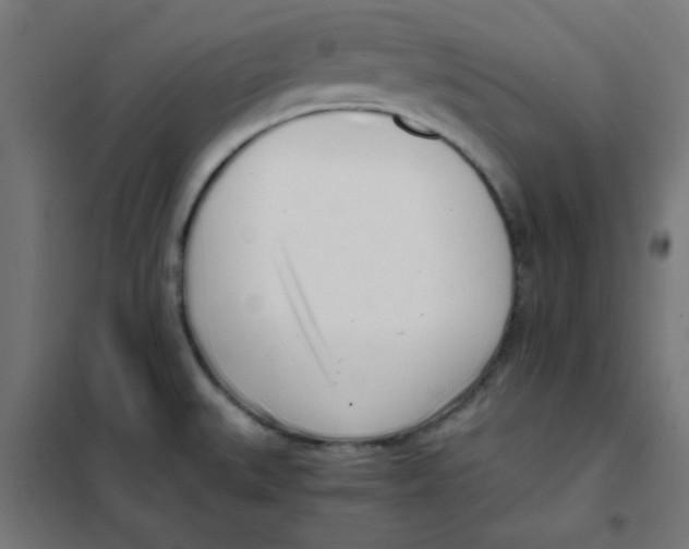 X0000101661527200808071009