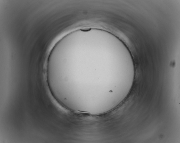 X0000101661528200808071009