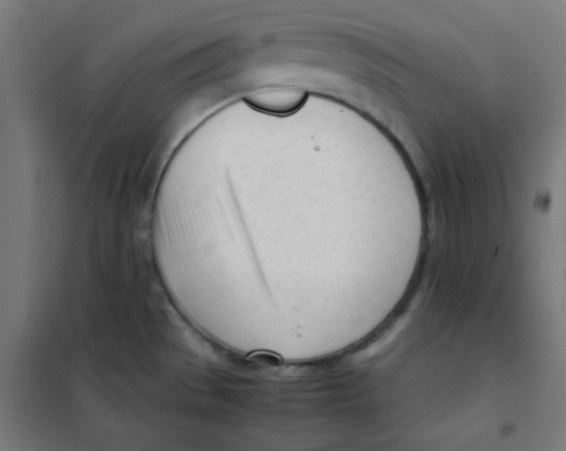 X0000101661529200808071009