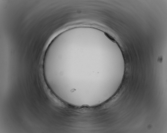 X0000101661530200808071009