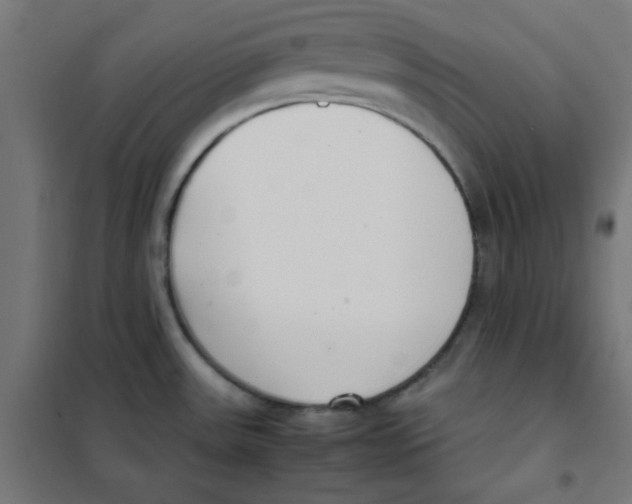 X0000101661531200808071009