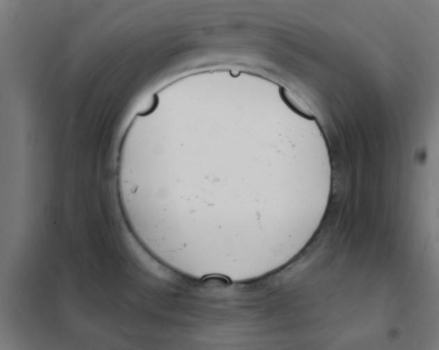 X0000101661532200808071009