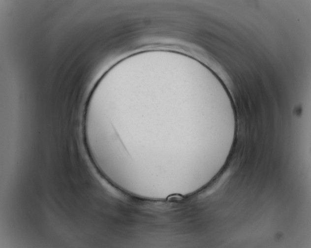 X0000101661533200808071009