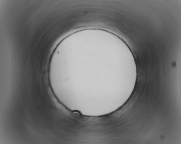 X0000101661534200808071009