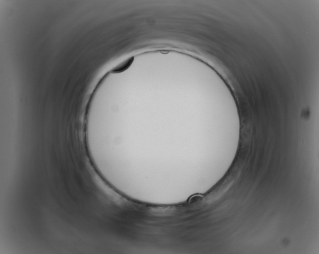 X0000101661535200808071009