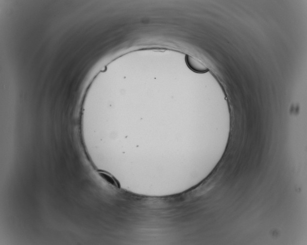 X0000101661536200808071009