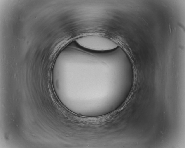 X0000101670001200807101100