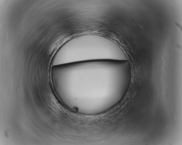 X0000101670002200807101100