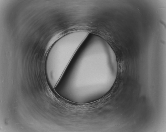 X0000101670004200807101100