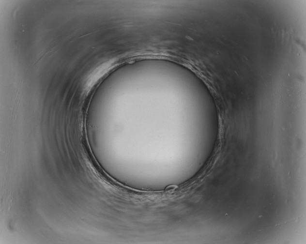 X0000101670005200807101100