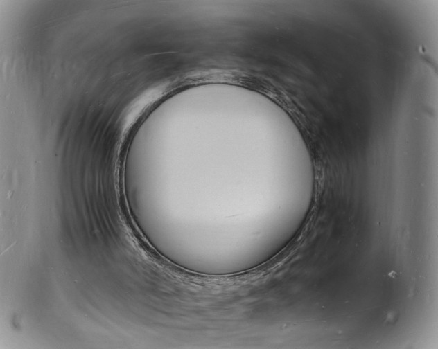 X0000101670006200807101100
