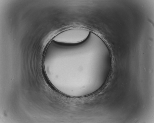 X0000101670007200807101100