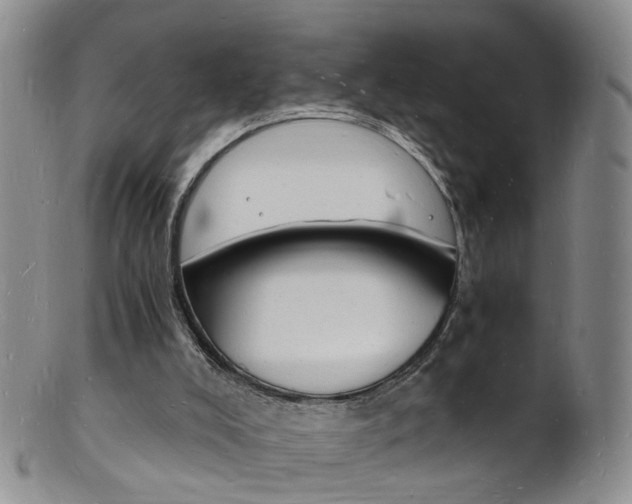 X0000101670008200807101100