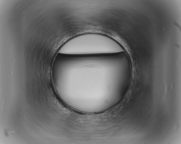X0000101670009200807101100
