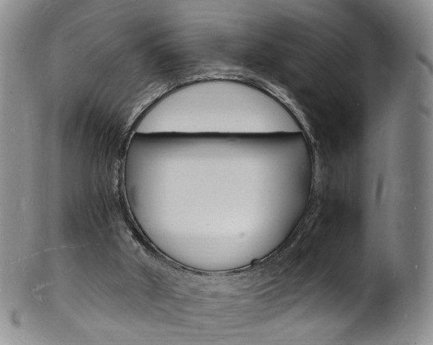 X0000101670010200807101100