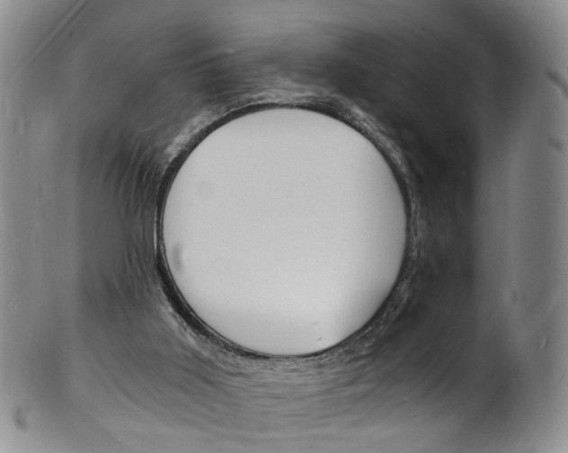 X0000101670011200807101100
