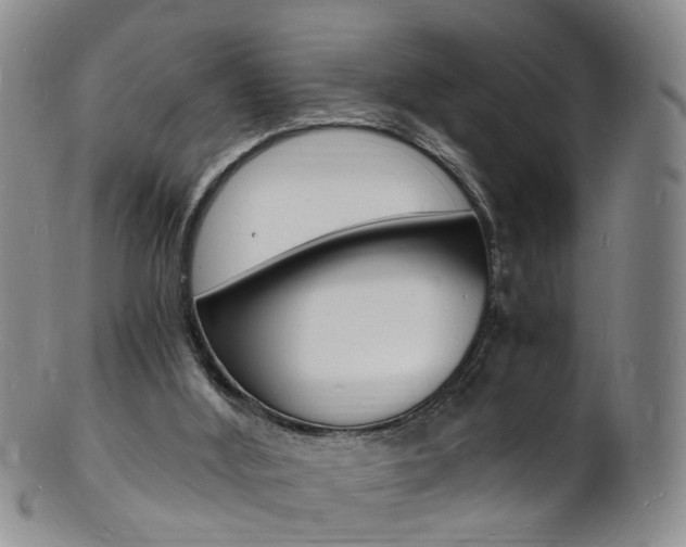 X0000101670012200807101100
