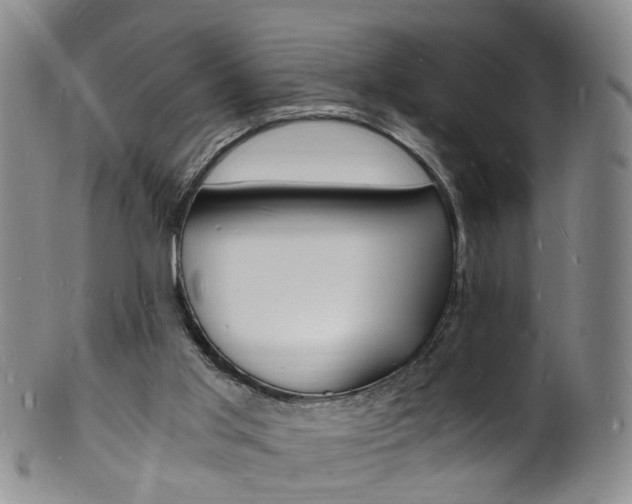 X0000101670013200807101100