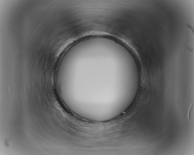 X0000101670015200807101100