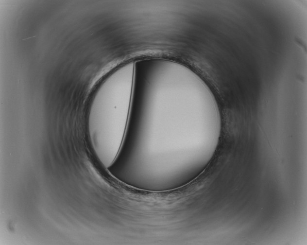 X0000101670016200807101100