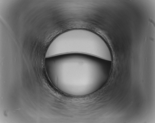X0000101670017200807101100