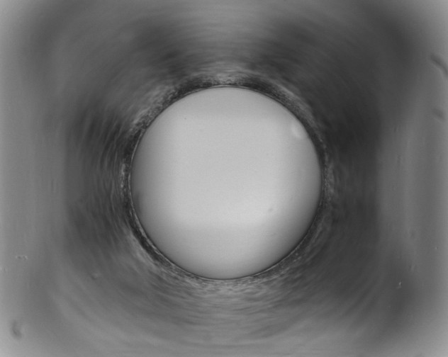 X0000101670018200807101100
