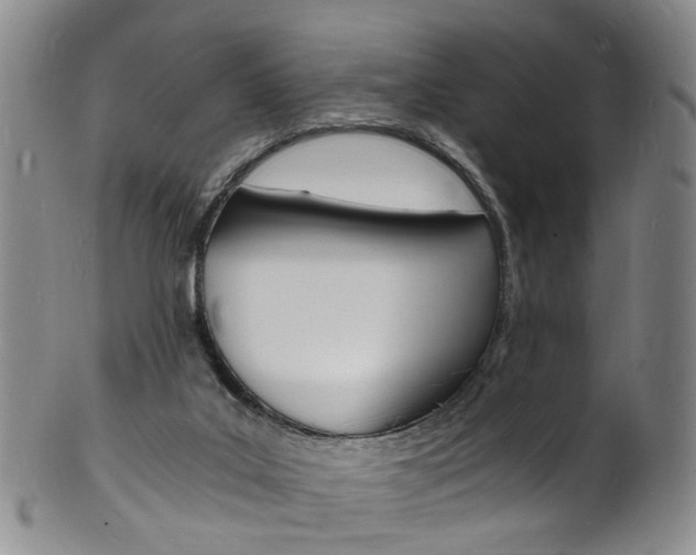X0000101670019200807101100