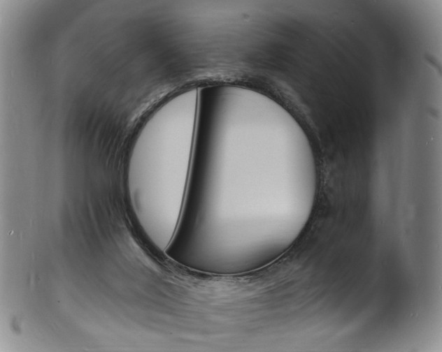 X0000101670020200807101100
