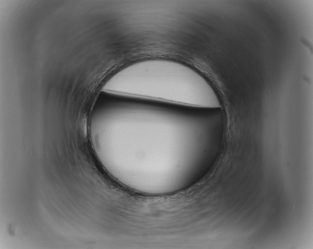 X0000101670021200807101100