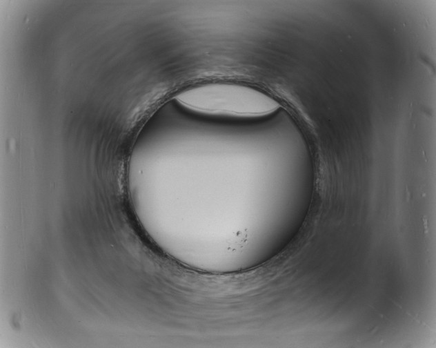 X0000101670023200807101100