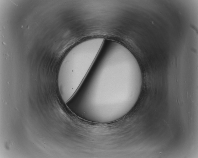 X0000101670024200807101100