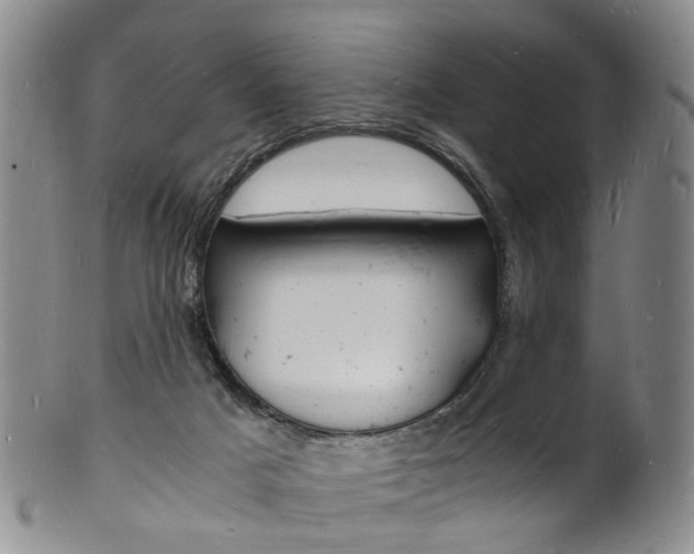 X0000101670025200807101100
