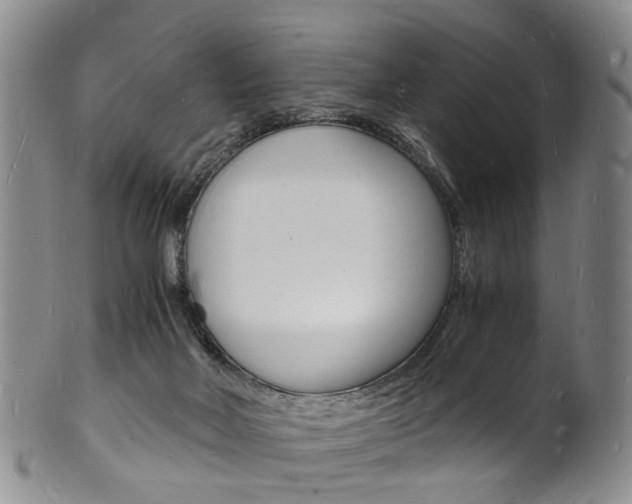 X0000101670026200807101100