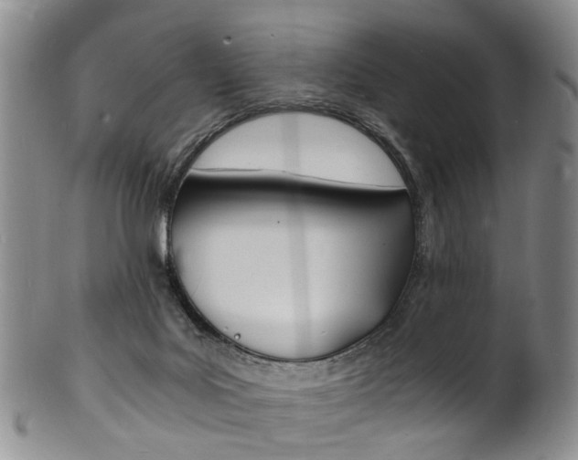 X0000101670027200807101100