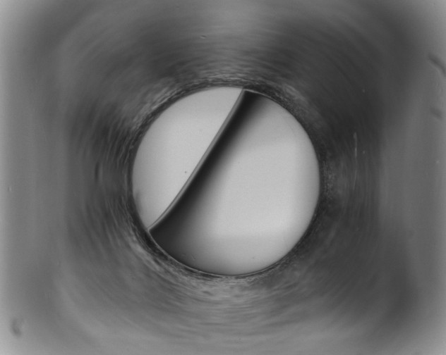 X0000101670028200807101100