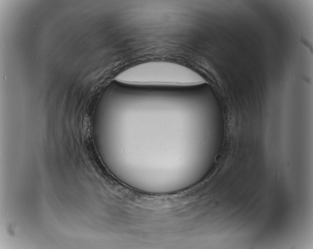 X0000101670029200807101100