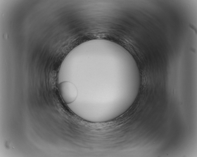 X0000101670030200807101100