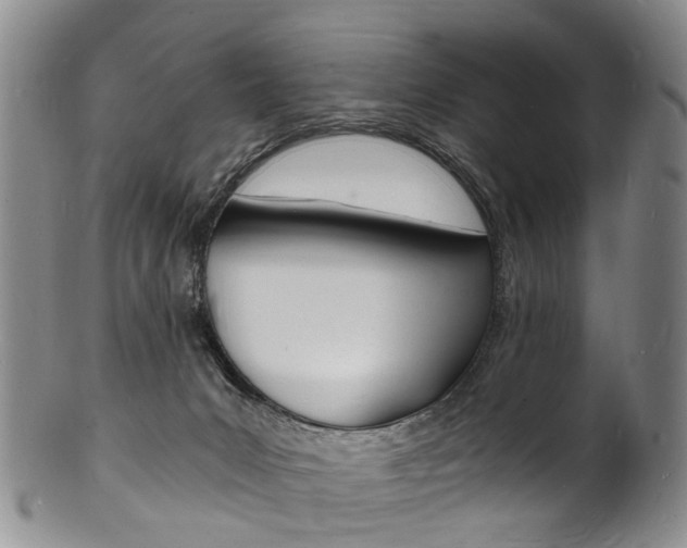 X0000101670031200807101100